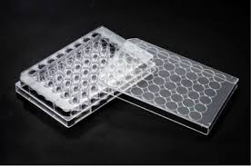 MULTI WELL CULTURE PLATE ,PS,48 WELLS,85.4X127.6mm