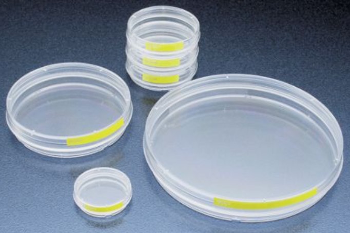 [TPP-93150] Tissue culture dish  150 mm 100 pcs / case 25 cases