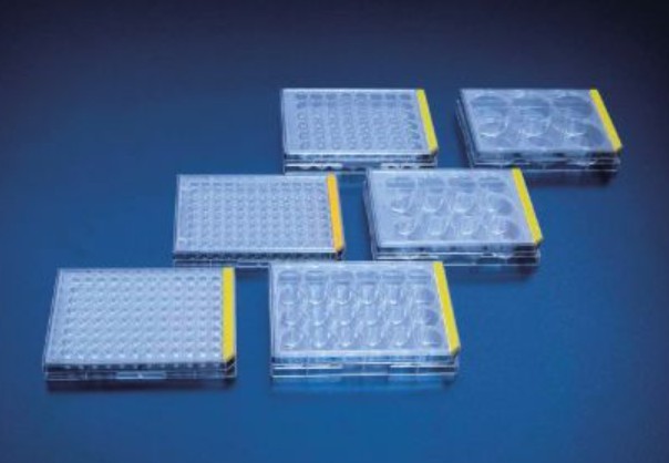 PROMO Tissue culture test plate, 96 wells, U-version 1 x 1/1 case