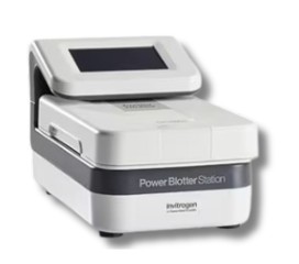 Promo Power Blotter Disc. 40% (2026)
