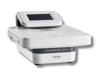 Promo Power Blotter XL Disc. 40% (2026)
