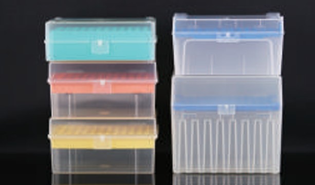 Bundling Plastic Amplifcation (DNA Template)