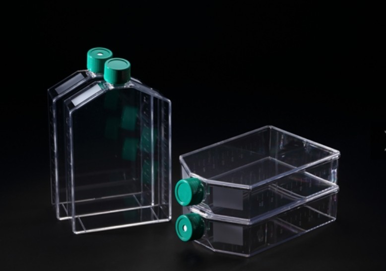 [SPL-70175] Tissue Culture Flask Eith Pligged Cap, PS 75 cm2, TC treated to SAL 10-6, 5/100/case