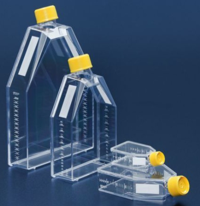 PROMO Tissue culture flask 25 cm² / vent screw cap
