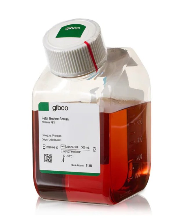 [THERMO-A5670701] PAKET FBS PREMIUM THERMO