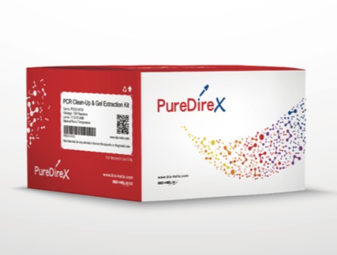 Genomic DNA Isolation Kit (Plant)(Column Based)
