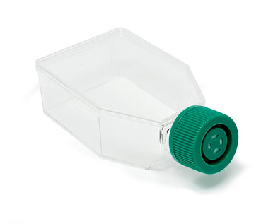[SPL-70025] Tissue Culture Flask with Filter Cap,PS, 25cm2, TC treated, Sterile to SAL10-6, 5/200/case