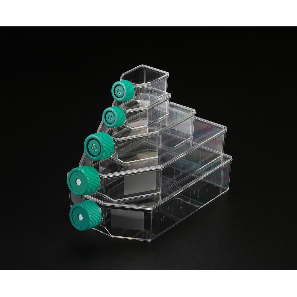 [SPL-70075] Tissue Culture Flask with Filter Cap,PS, 75cm2, TC treated, Sterile to SAL10-6, 5/100/case