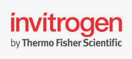 Invitrogen™ SYBR GreenER™ qPCR SuperMix Universal