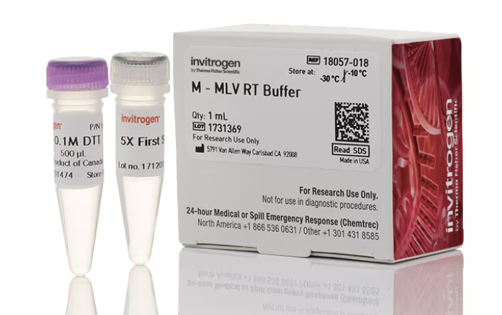 M-MLV RT BUFFER 1 ML