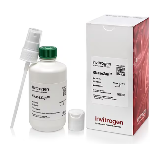 Invitrogen™ RNaseZap™ RNase Decontamination Solution